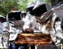 Agroindustria premió a jóvenes apicultores de todo el país