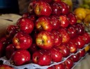 Productores de manzanas y peras de cinco provincias tendrán beneficios especiales