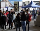 Nuevas recomendaciones del Ministerio de Salud ante el brote de fiebre amarilla en Brasil 