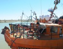 Más de 20 nuevas empresas pesqueras argentinas podrán exportar a Rusia