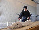 Japón abrió su mercado para la carne bovina y ovina de la Patagonia