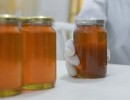 Se reanudó la exportación de miel fraccionada a Brasil