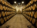 En julio aumentaron las exportaciones de vino a granel y fraccionado