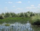 Se sancionó ley para creación de un Parque Nacional en Campana