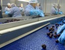 Se certificó el protocolo fitosanitario para el primer envío de cerezas a China