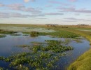 Se creó una nueva reserva en los Esteros del Iberá