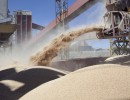 Argentina to export soymeal livestock feed to China, the world’s largest consumer 
