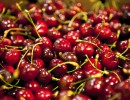 Argentina to export grapes and cherries to Thailand
