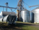 Luego de cinco años la línea Urquiza volvió a transportar granos para exportación