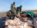 International Day against Drug Abuse and Illicit Trafficking