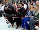Karina Milei participó de una jornada sobre protección animal en el Museo de la Casa Rosada