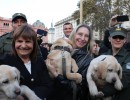 Día Nacional del Perro