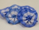 National Cockade Day
