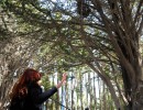 Cristina Fernández conmemoró el 136° aniversario del bautismo del Lago Argentino.