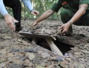 La Presidenta recorrió los túneles de Cu Chi donde resaltó el amor a la Patria y el valor de la paz