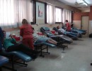 Día Mundial del Donante de Sangre: ¿Sabías que una donación permite salvar entre tres y cuatro vidas? 