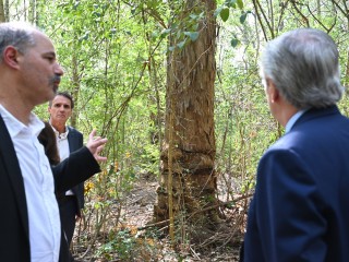 Alberto Fernández: 47 años después seguimos reclamando verdad; justicia y poniendo en valor la memoria colectiva