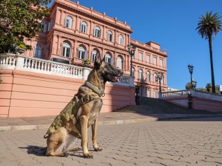 April 29th: Animal Day