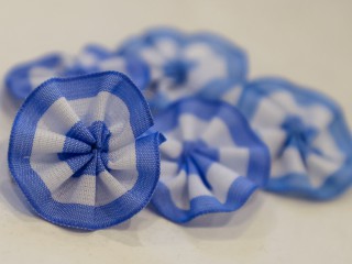Day of the national scarapela: one of our most representative patriotic emblems