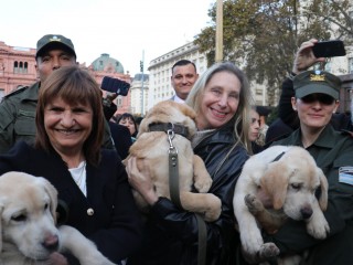 Día Nacional del Perro