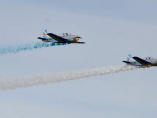 Argentine Air Force Day